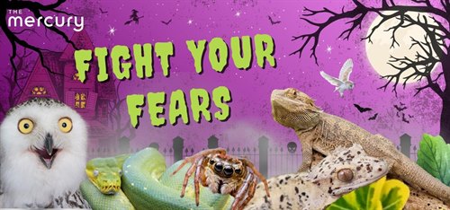 Halloween Helpdesk - Fight your Fears